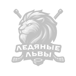 Адаптивная команда по специальному хоккею «Ледяные Львы»