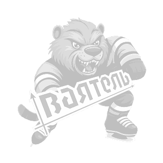 Центр подготовки хоккеистов “Ваятель”